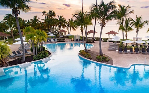 Hyatt Regency Resort Puerto Rico pool surrounded by palm trees