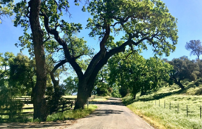 Happy Canyon Road