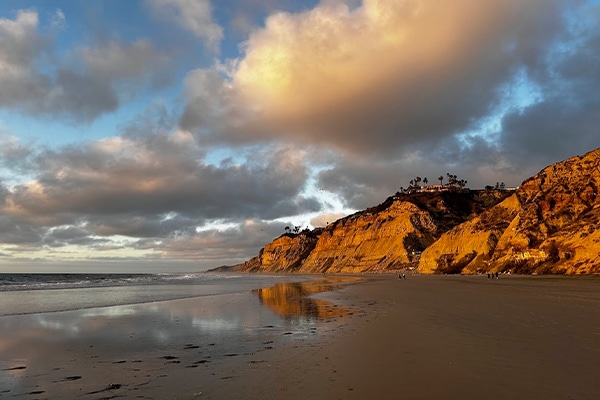 2025 MasterPsych Psychiatry Conference - San Diego, CA