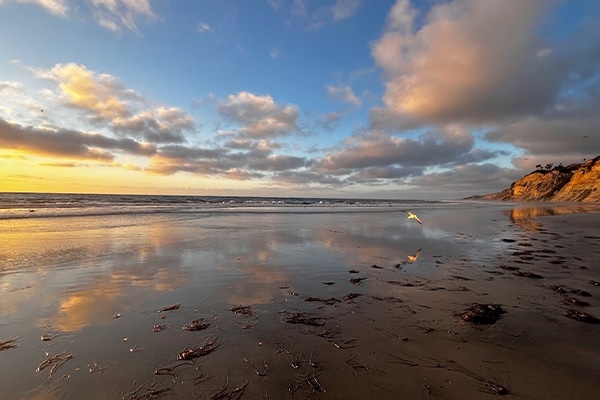 2025 MasterPsych Psychiatry Conference - San Diego, CA