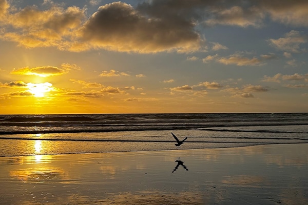 2025 MasterPsych Psychiatry Conference - San Diego, CA